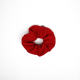 Scarlet Fever