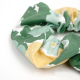 Green Tambourine